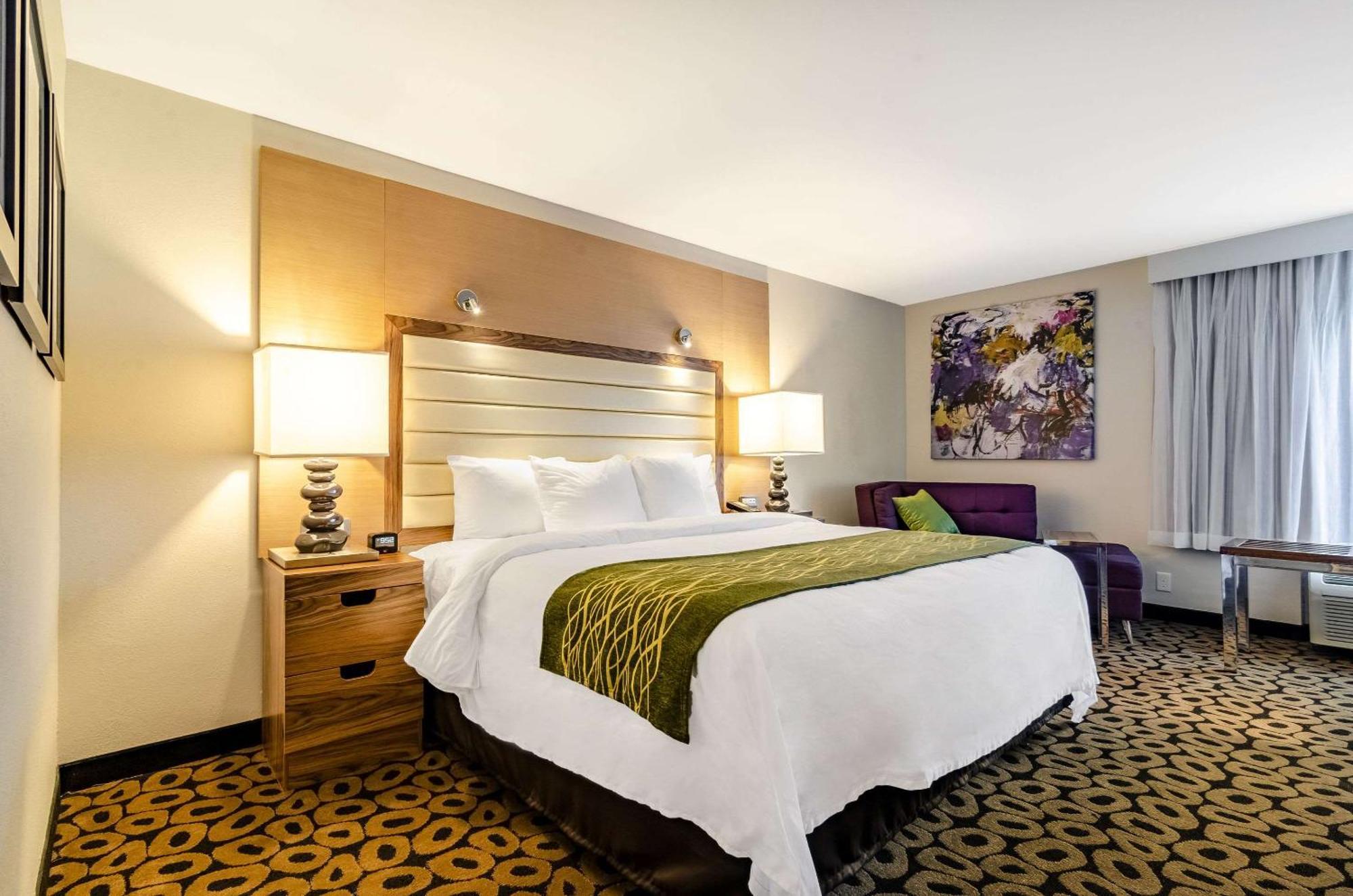 Comfort Inn Raleigh Midtown מראה חיצוני תמונה